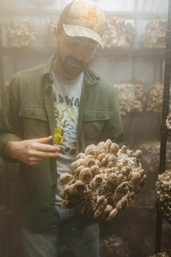How to grow a mushroom farm: a story in three parts.